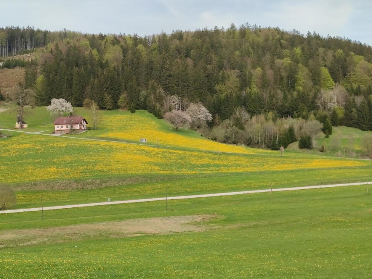 Ferienhaus Schoeller Schönbach Εξωτερικό φωτογραφία